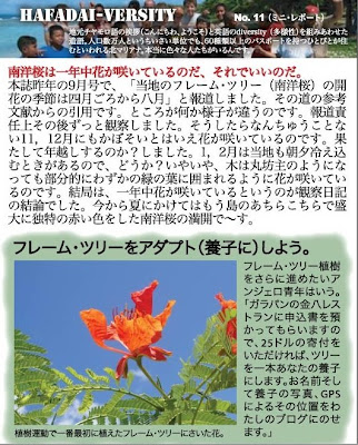 adopt a flame tree