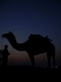 Sunset in the Thar Desert