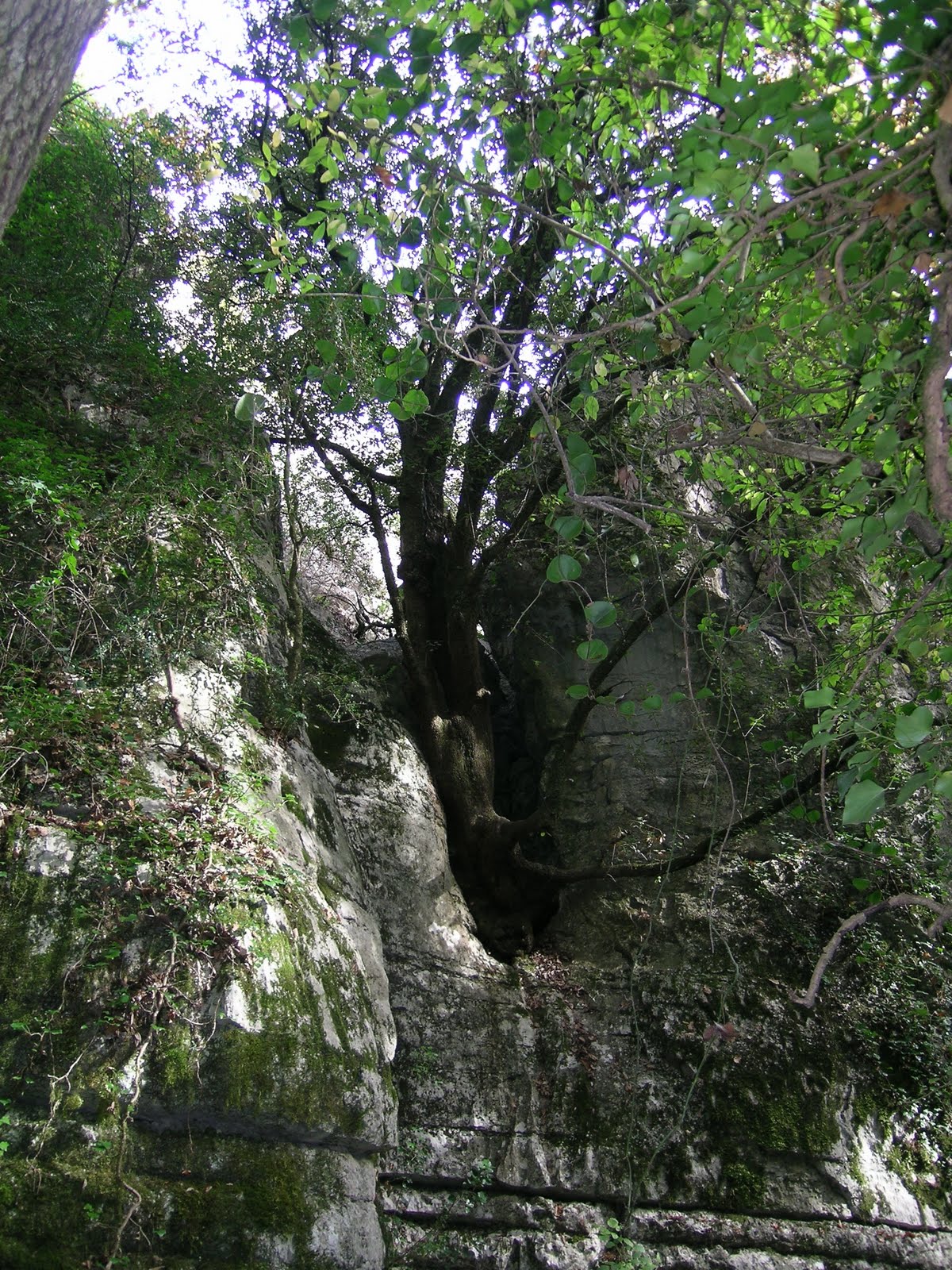 [DSCN8662.JPG]