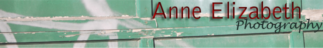 anne elizabeth's blog