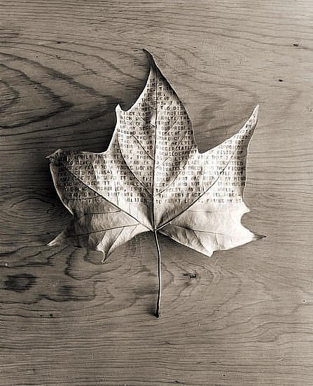 [chema+madoz.bmp]