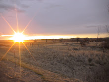 Montana Sunrise