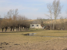 Cosy Farm House