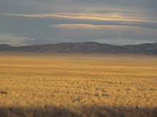 Wyoming Wilderness