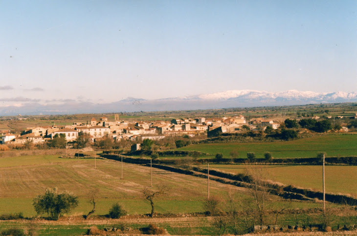 TARROJA DE SEGARRA  LLEIDA