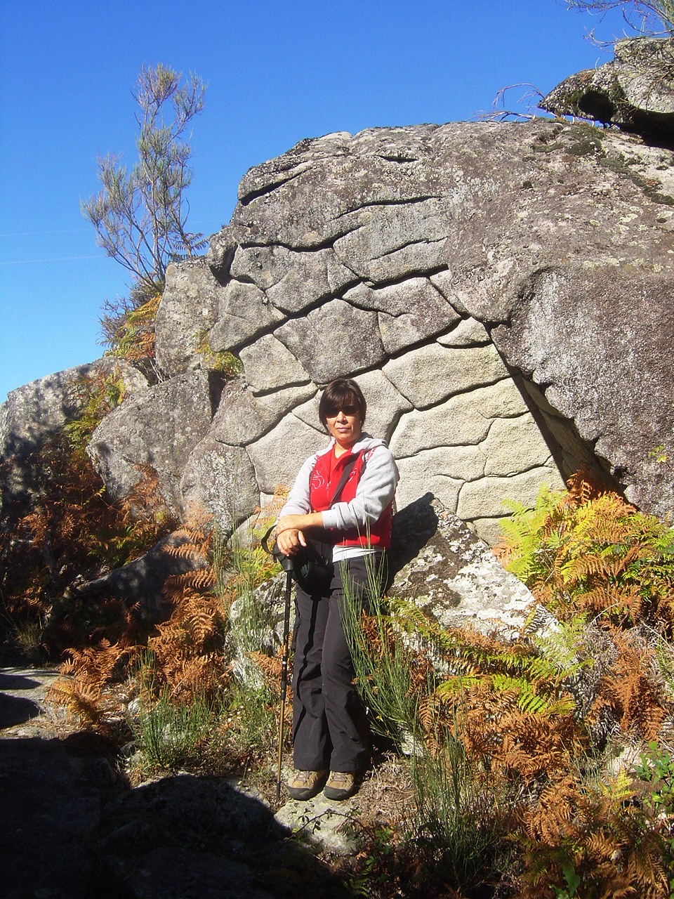[DSC08046.JPG]