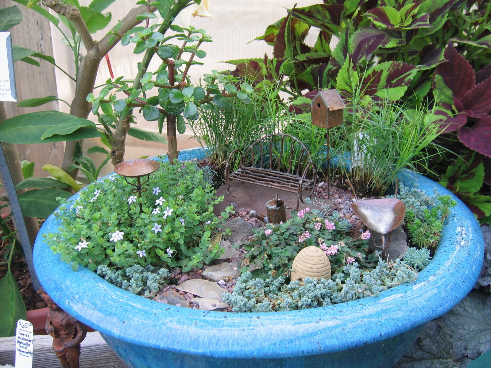 gardens alive