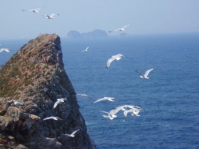[Berlengas.3[1].jpg]