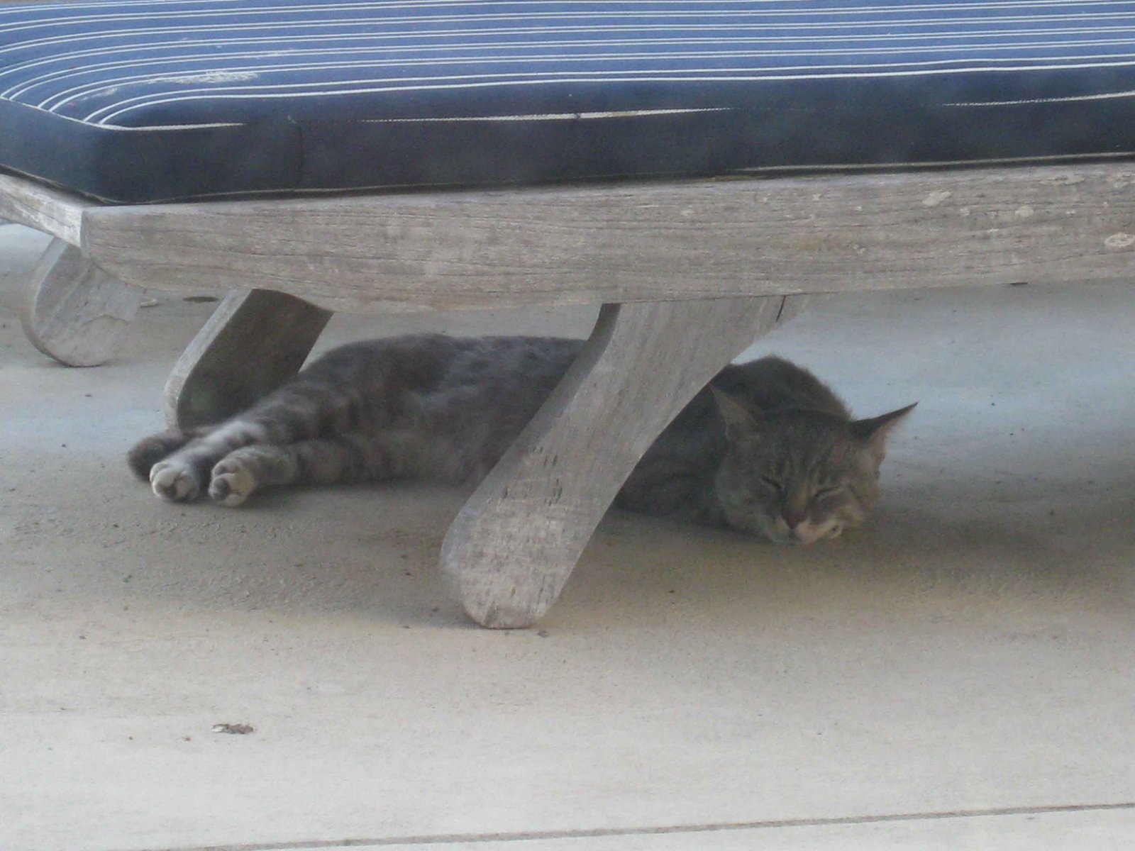 [summer+grey.jpg]