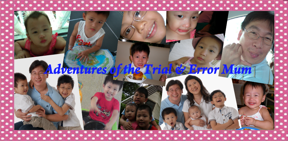 Adventures of the Trial and Error Mum