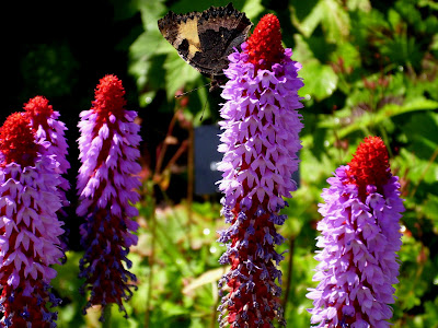 Annick Gardens