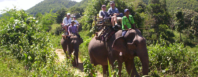 Elephant ride