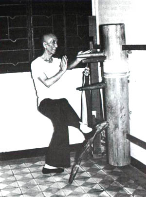 [IpMan.jpg]