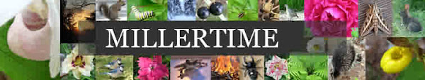 millertime