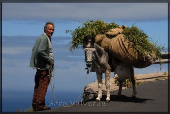 [La+Gomera+4+325-1.jpg]