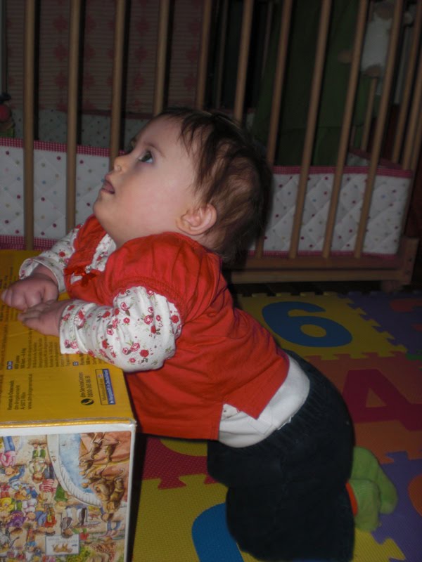 [PO20091203_0000.jpg]