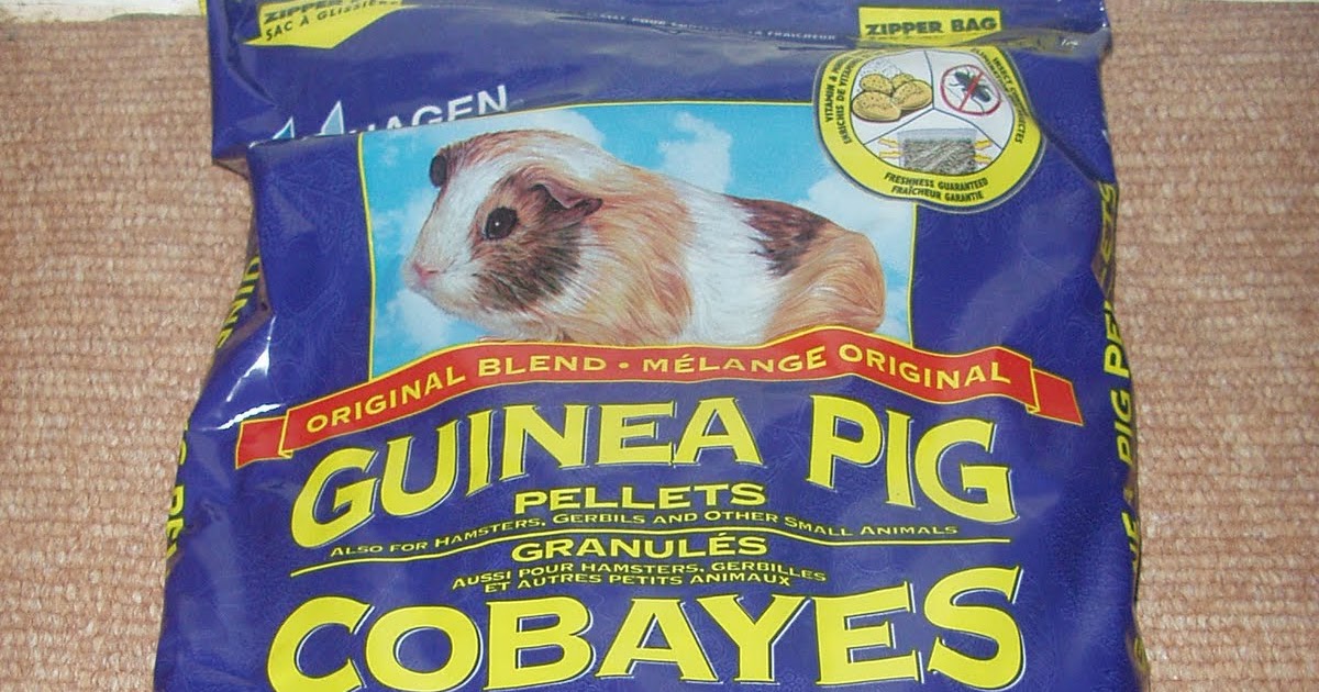 arnabkus shop HAGEN Guinea Pig Pallet