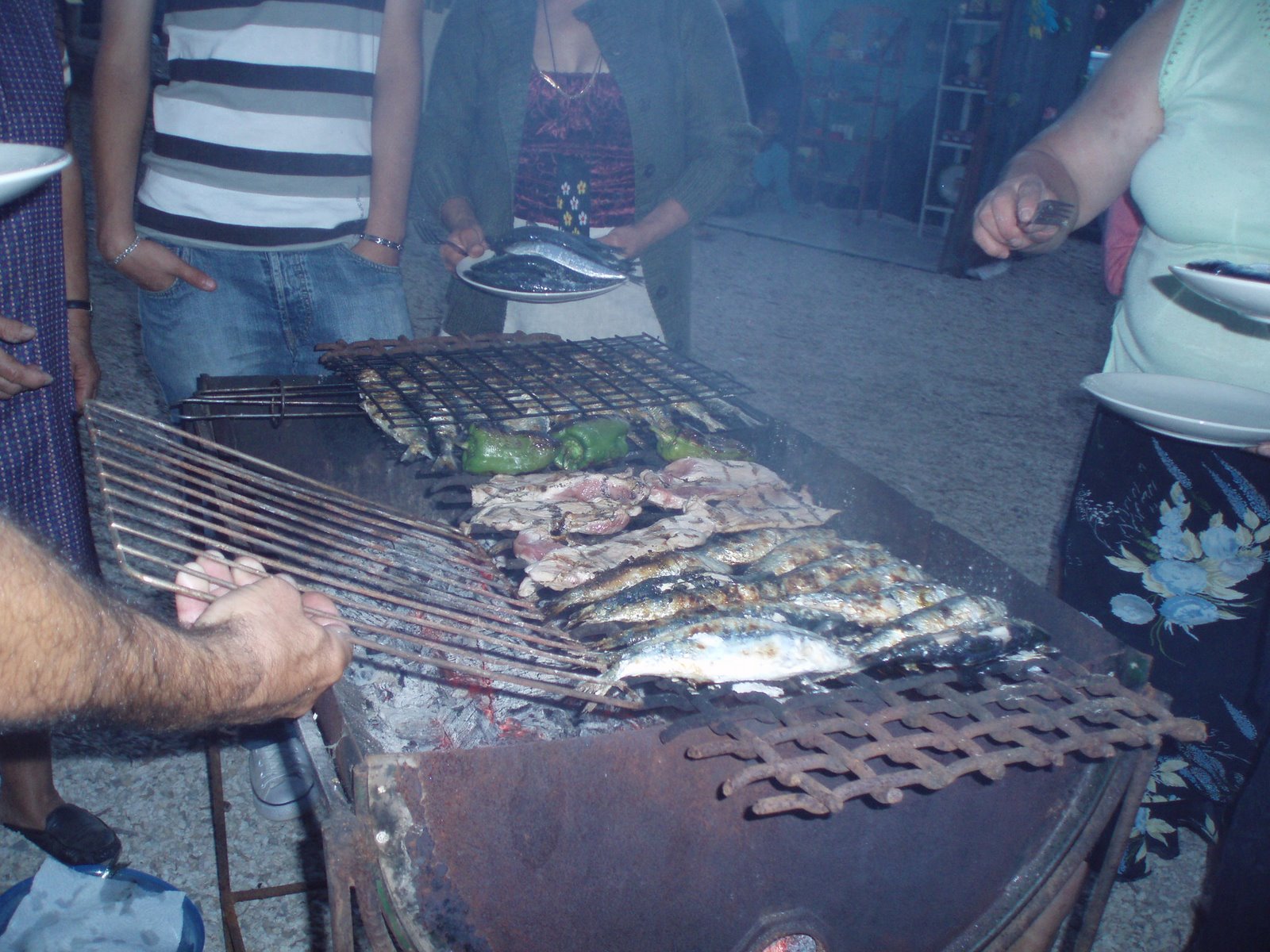 [P1010194.JPG]