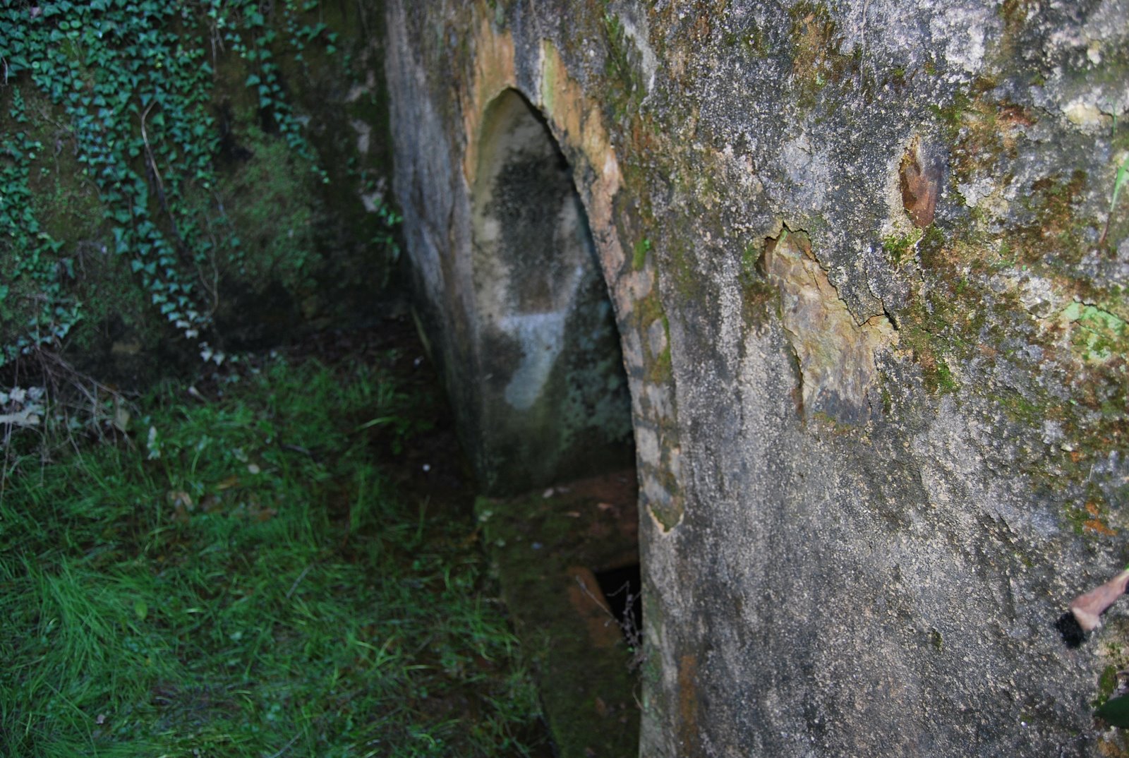[DSC_0096.JPG]