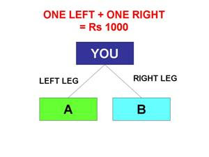 Rmp network marketing company picture