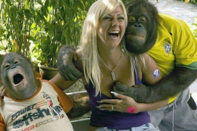 funny animal pose monkey with hot girl