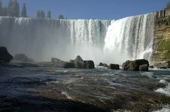 "Salto del laja"