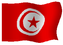 Ce Drapeau est celui du pays qui nous a vus naître: LA TUNISIE