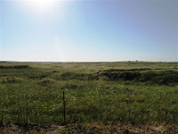 Once a battle field, now a grazing field