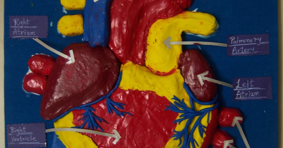 on my board right now... Heart Clay Model