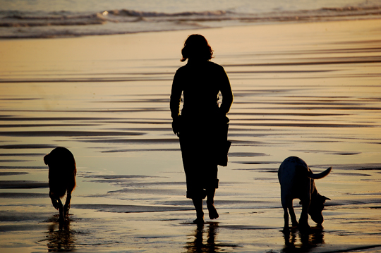 [barrilileninamies.jpg]