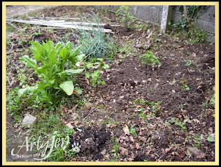 Our Veggie Plot
