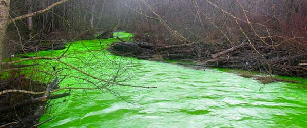 Victoria river mysteriously