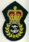 RN CPO badge