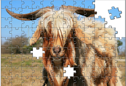 Jigsaw Goat