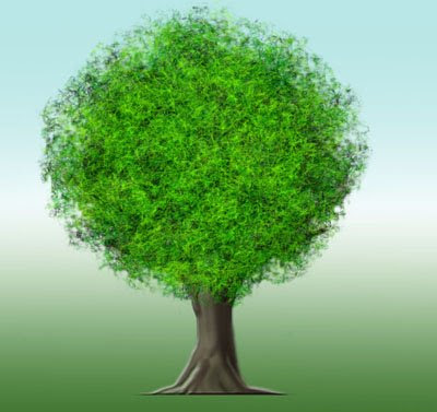 ARROBA PUNTO YO: HOMÓGRAFOS: COPA (de árbol)