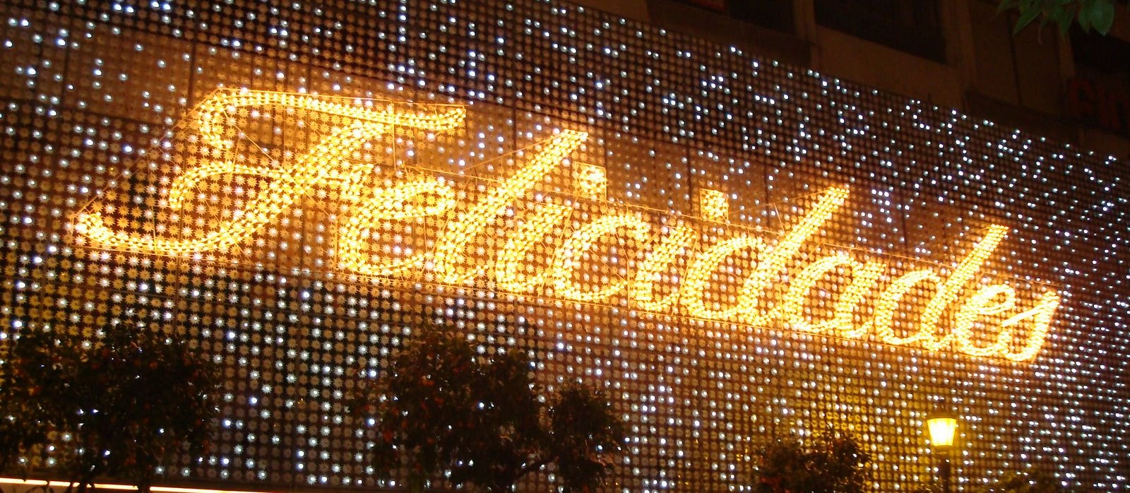 [DSC06017+-+Cópia.JPG]