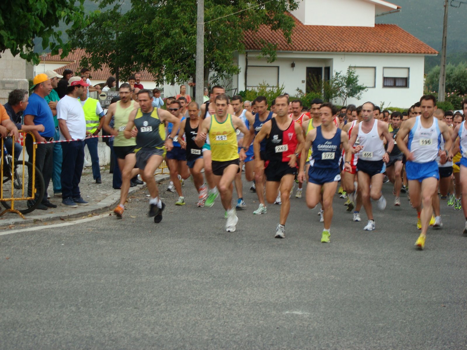 [DSC00595.JPG]