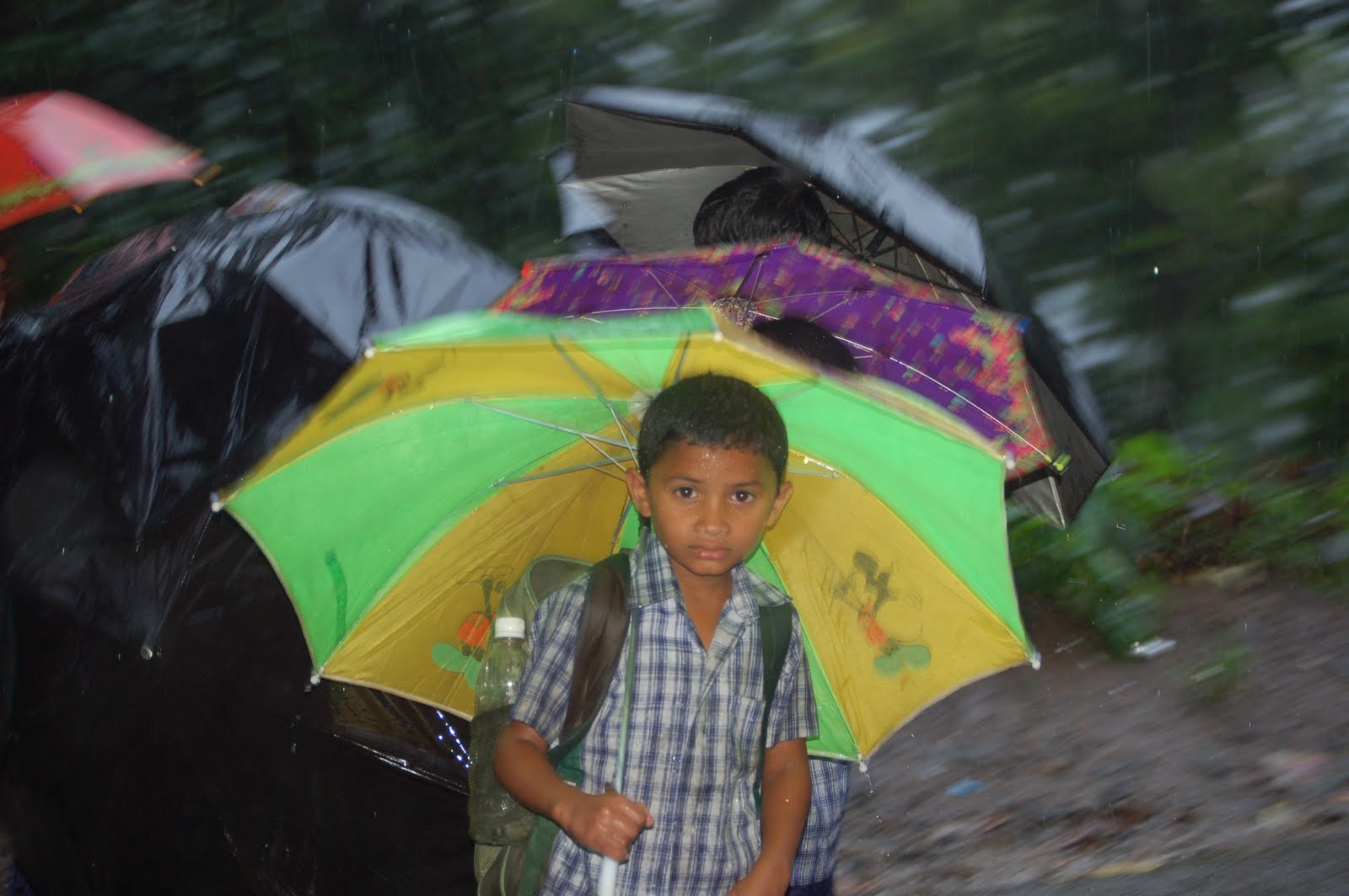 [DSC_0248.JPG]