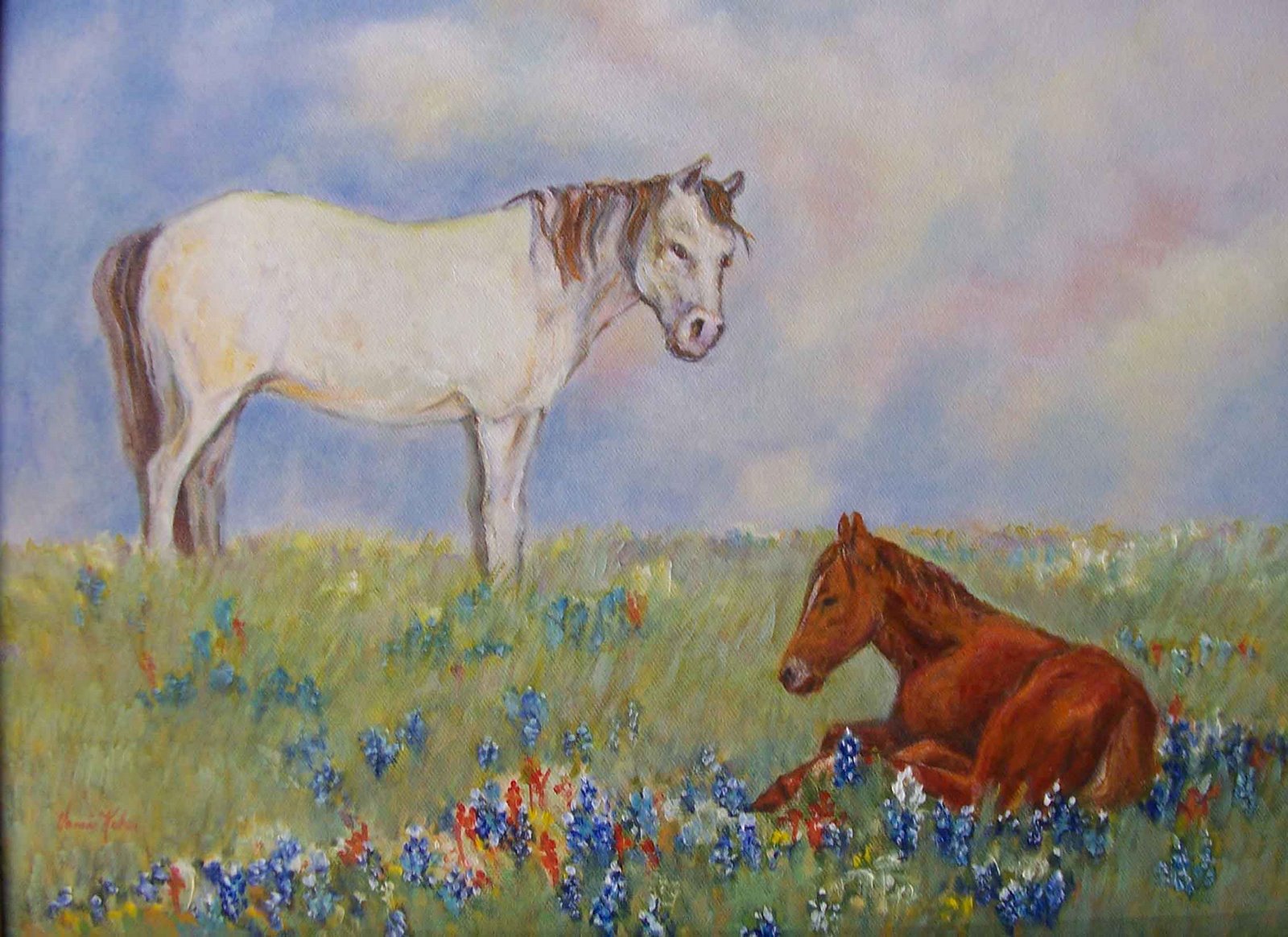 [Spring-Foal...web.jpg]