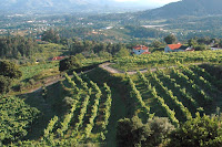 Café Portugal - PASSEIO DE JORNALISTAS em Ponte de Lima - Paço de Calheiros