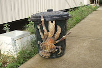 Kepiting+terbesar+di+dunia