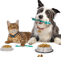 Free Oral Health Pet Food
