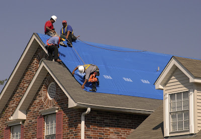 Blue Roof