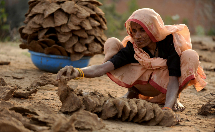 إله العهد القديم، هل هو إله يأمر الإنسان بأكل فضلات الإنسان؟ 1 cowdung4 10 إله العهد القديم، هل هو إله يأمر الإنسان بأكل فضلات الإنسان؟