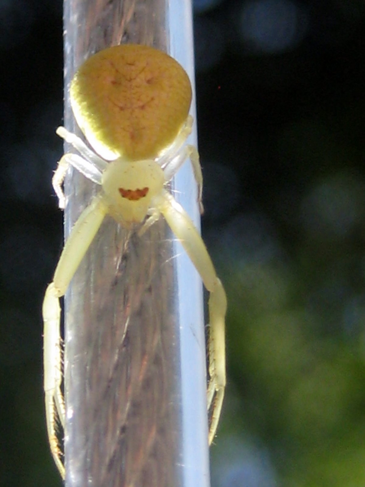 [IMG_6173.JPG]