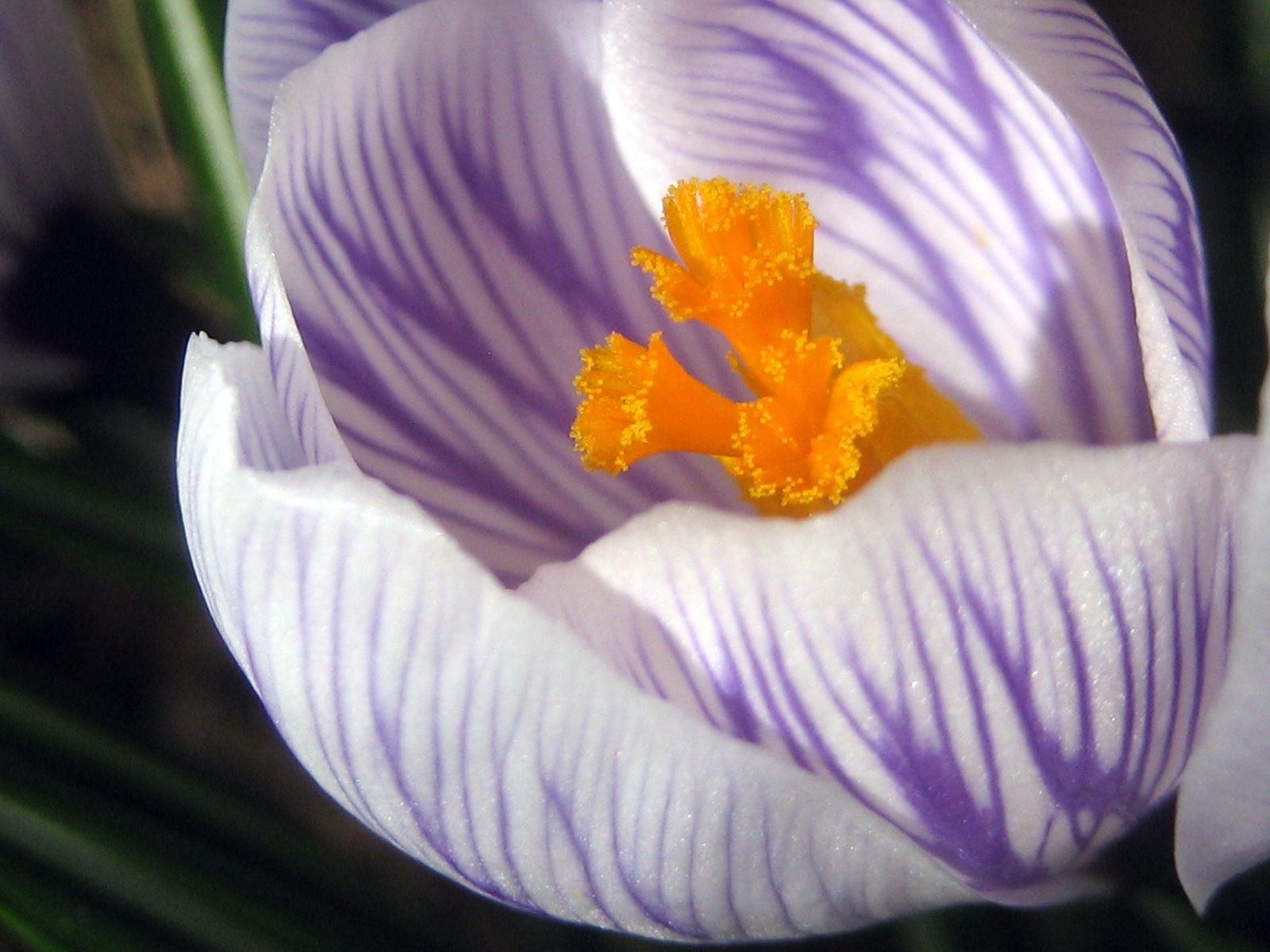 [IMG_9404.JPG]