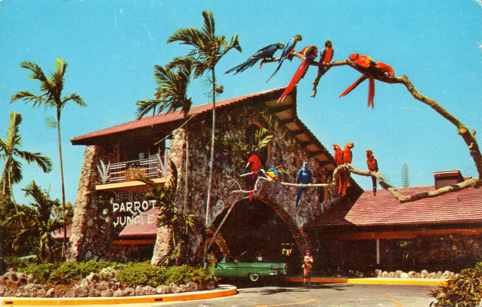 Download this Unusual Entrance The Parrot Jungle Miami Florida This Exotic picture