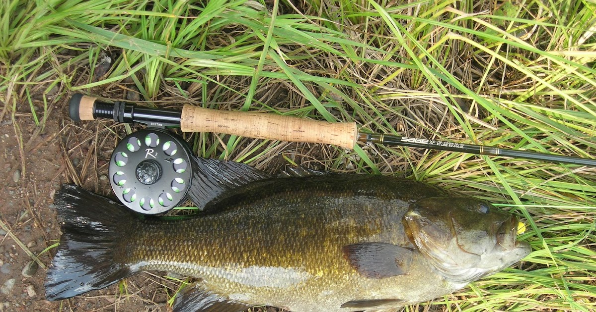 Minnsconsin Fly Fishing Fly Rod Smallmouth 101