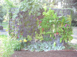 The Vertical Garden: Frequently Asked Questions