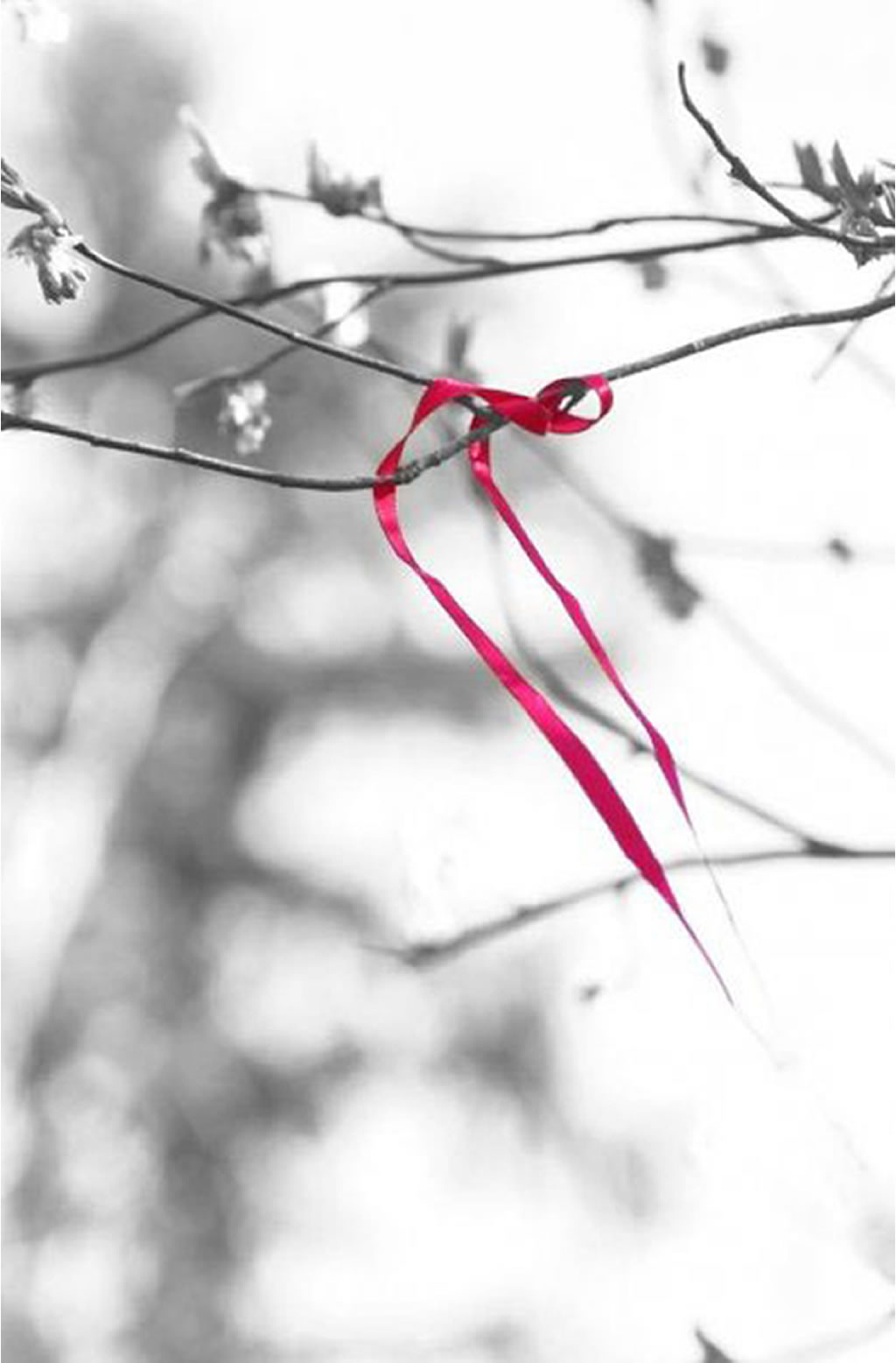 le anime gemelle sono destinate a incontrarsi